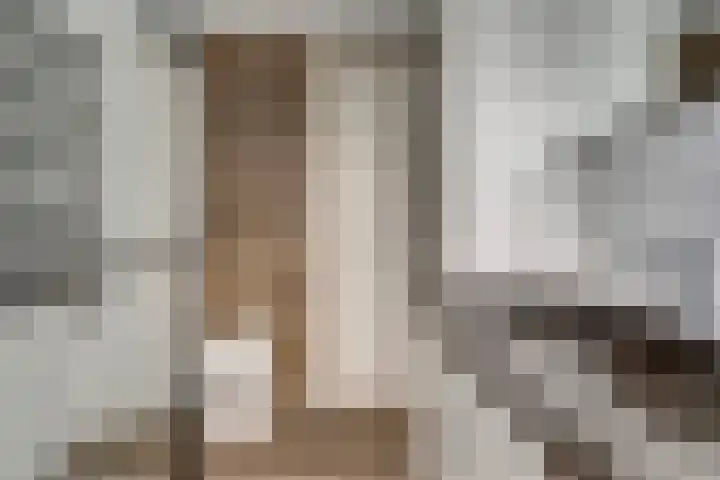 Zilverakkerweg 61 Dieren thumbnail 15