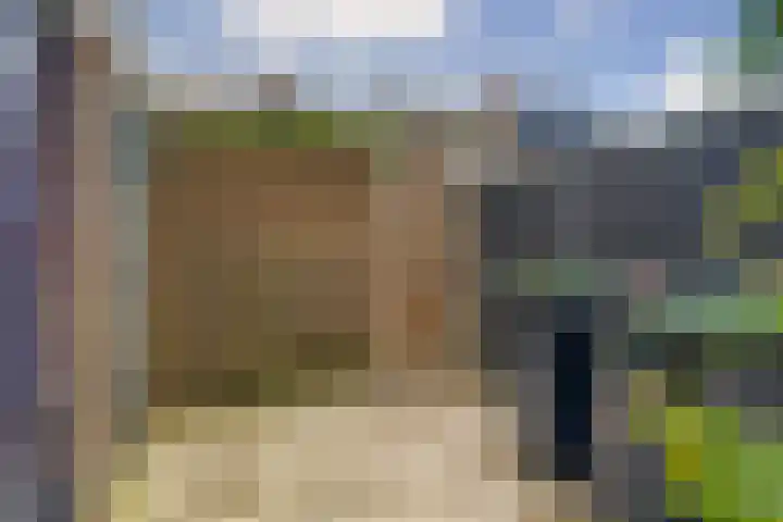 Zilverakkerweg 61 Dieren thumbnail 22