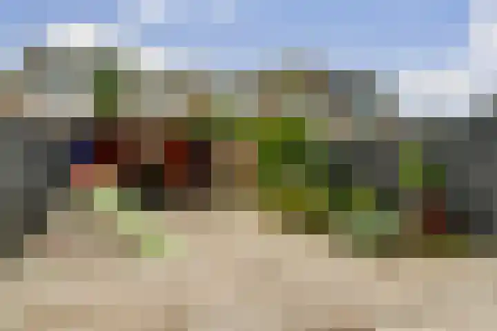 Zilverakkerweg 61 Dieren thumbnail 24