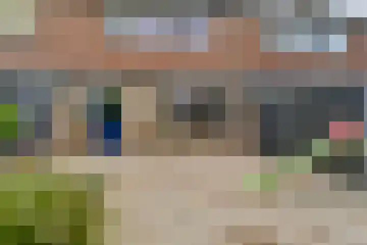Zilverakkerweg 61 Dieren thumbnail 25