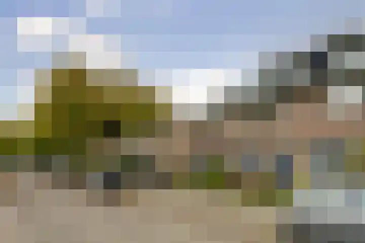 Zilverakkerweg 61 Dieren thumbnail 27