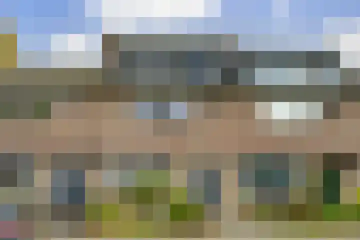 Zilverakkerweg 61 Dieren thumbnail 28