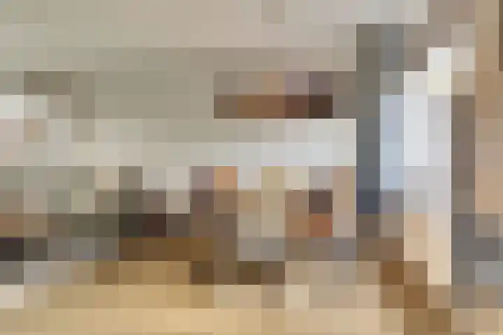 Zilverakkerweg 61 Dieren thumbnail 5