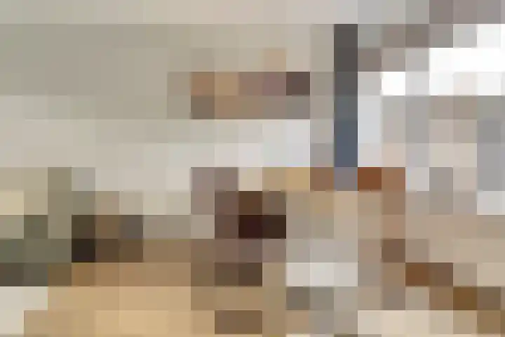 Zilverakkerweg 61 Dieren thumbnail 6