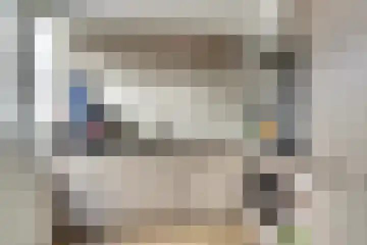 Zilverakkerweg 61 Dieren thumbnail 7