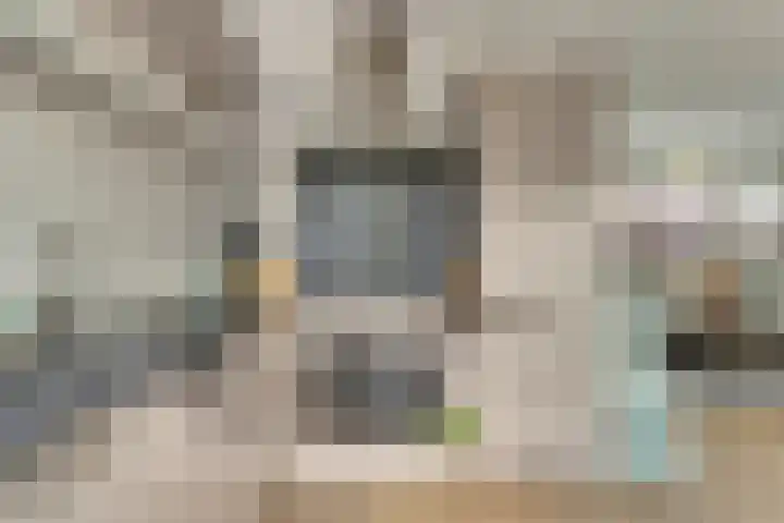 Zilverakkerweg 61 Dieren thumbnail 8