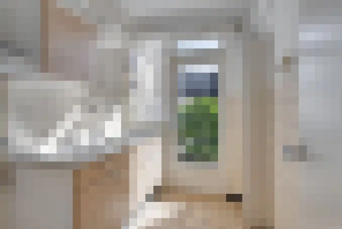 Zilverakkerweg 62 Dieren thumbnail 11