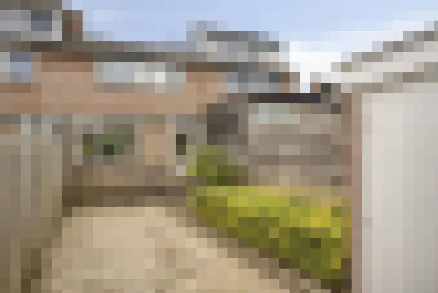 Zilverakkerweg 62 Dieren thumbnail 23