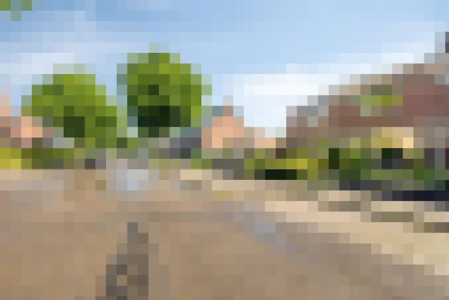 Zilverakkerweg 62 Dieren thumbnail 26