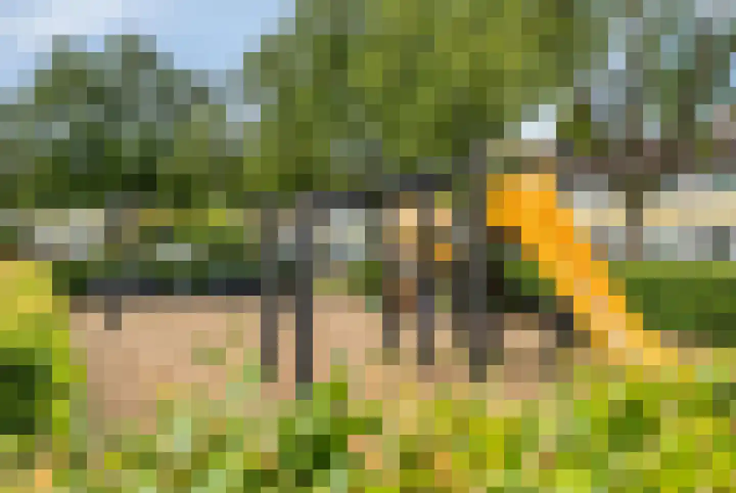 Zilverakkerweg 62 Dieren thumbnail 28