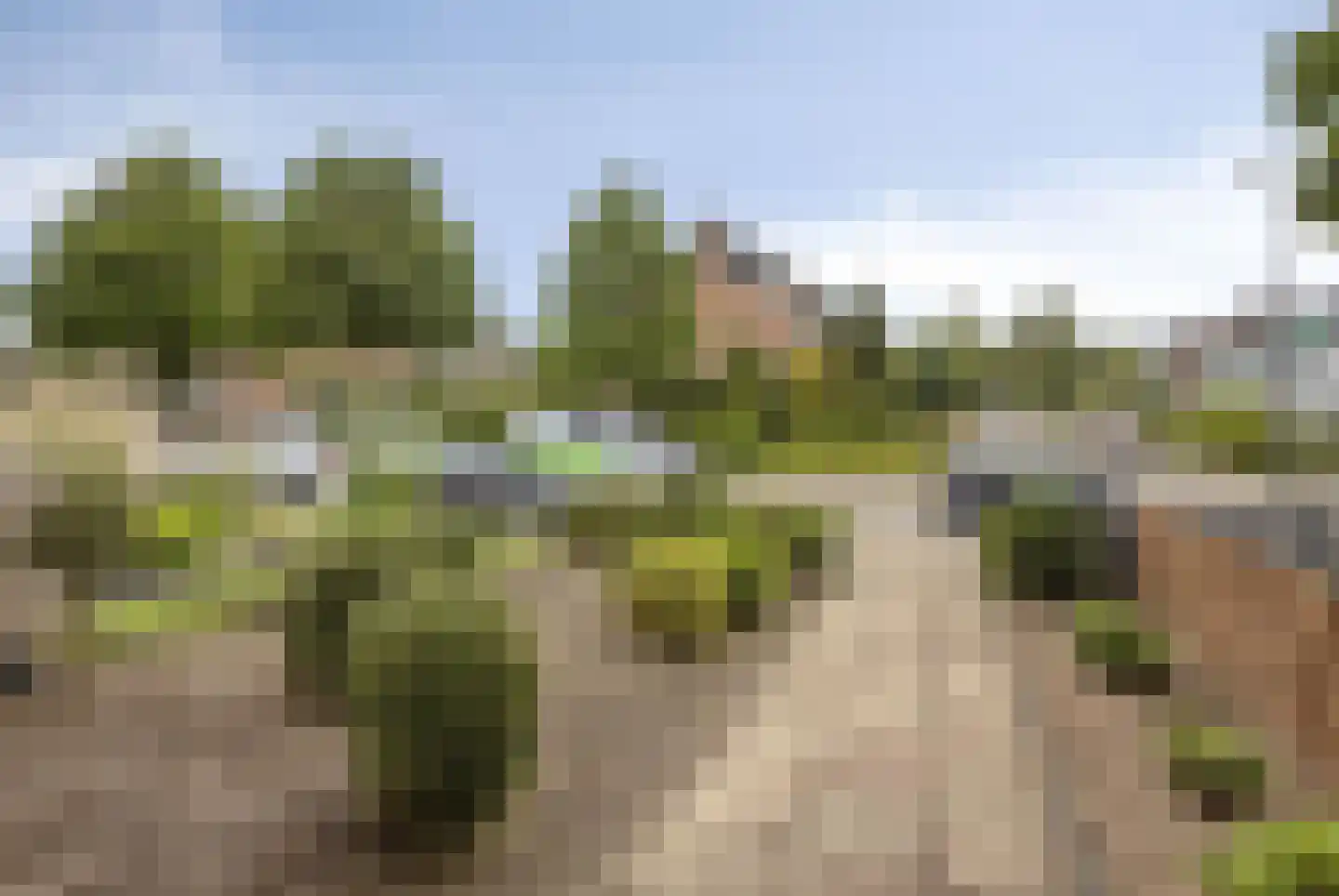 Zilverakkerweg 62 Dieren thumbnail 5