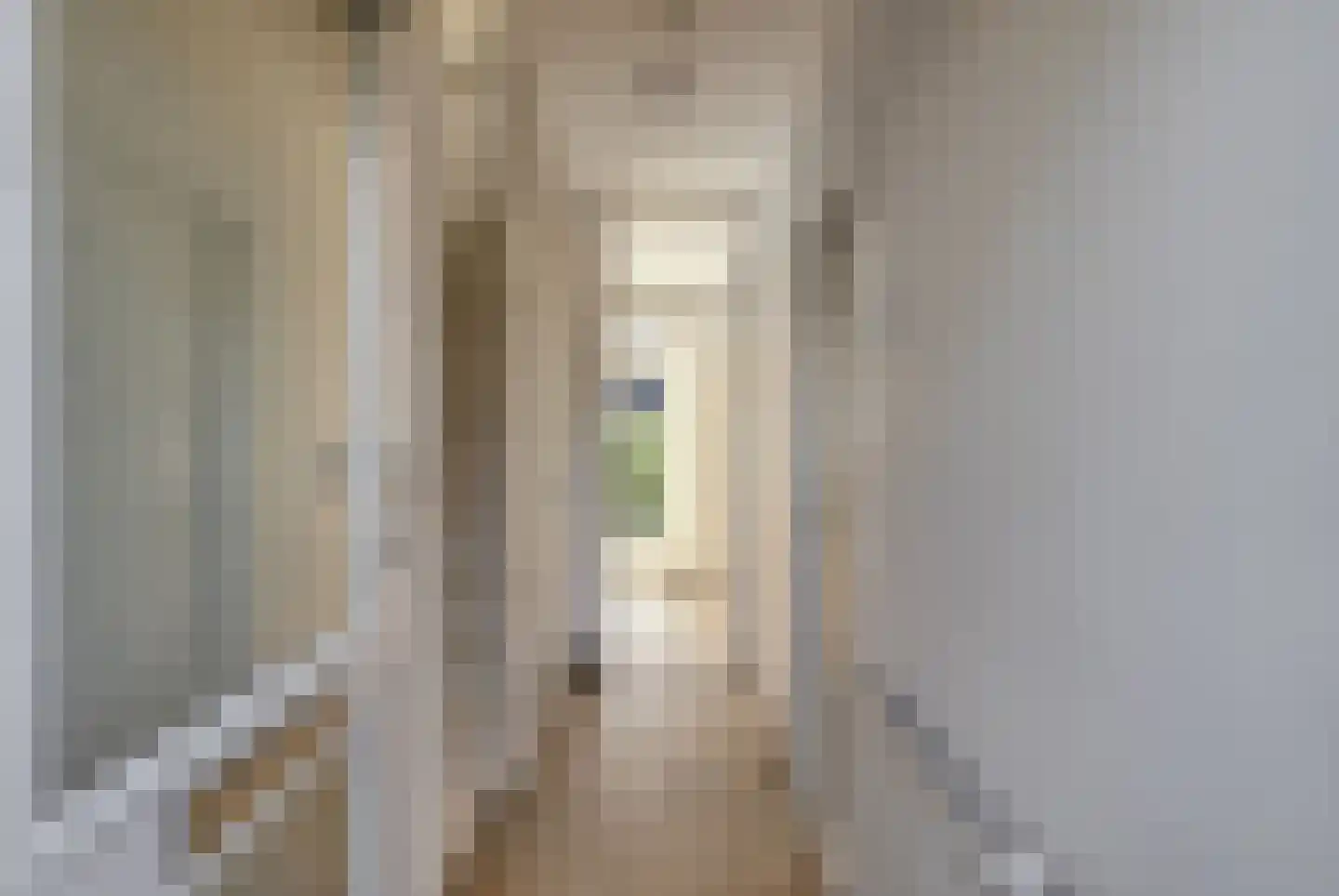 Zilverakkerweg 62 Dieren thumbnail 6