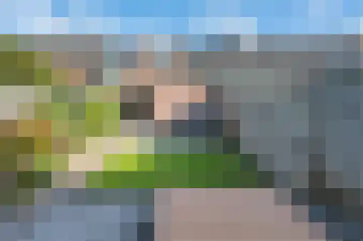 Zilverakkerweg 76 Dieren thumbnail 16