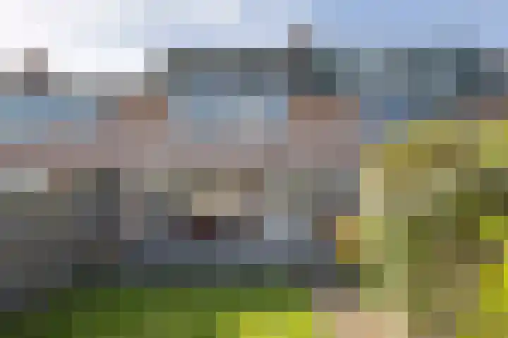 Zilverakkerweg 76 Dieren thumbnail 18