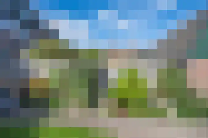 Zilverakkerweg 76 Dieren thumbnail 20