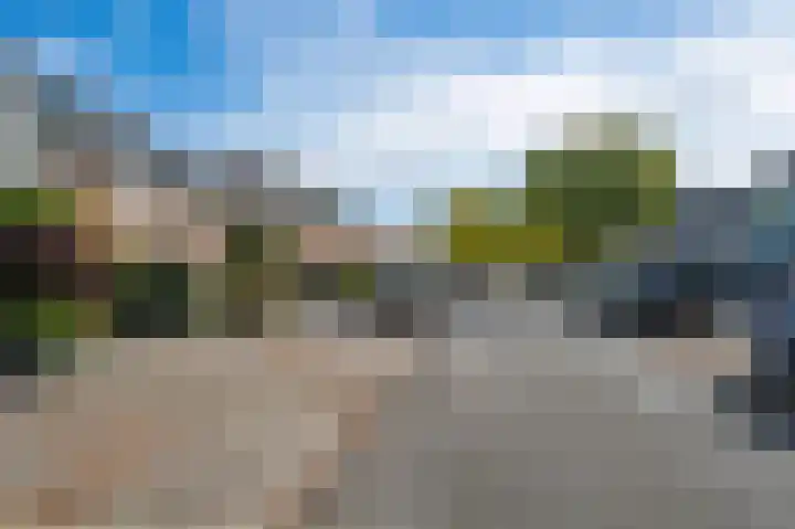 Zilverakkerweg 76 Dieren thumbnail 23