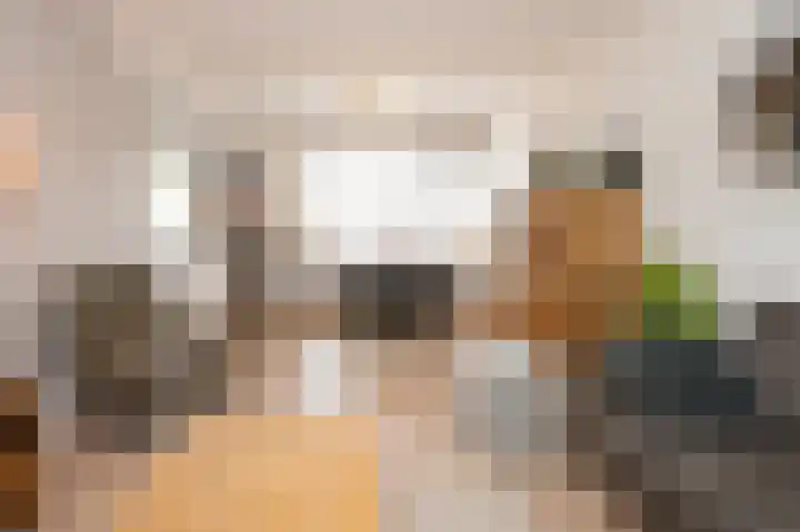 Zilverakkerweg 76 Dieren thumbnail 4