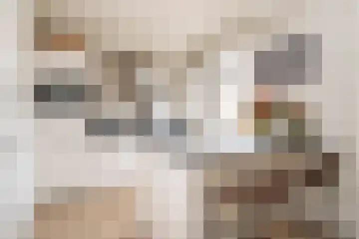 Zilverakkerweg 76 Dieren thumbnail 5