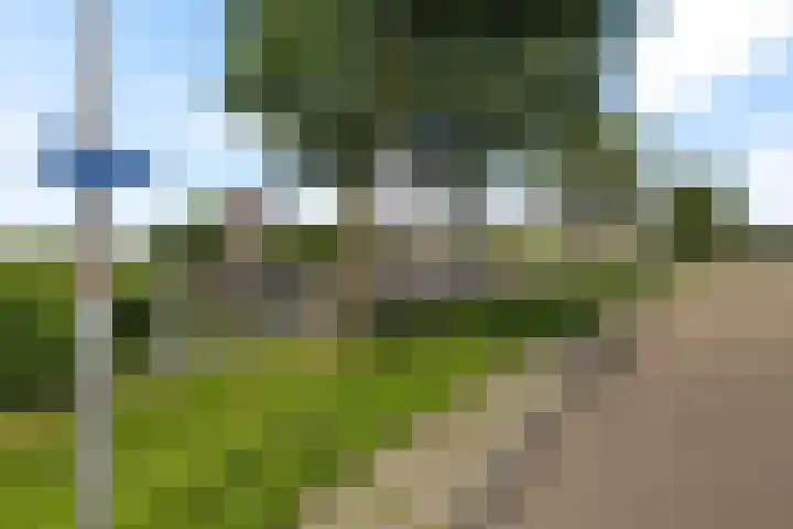 Zilverbeek 37 Zwartsluis thumbnail 11