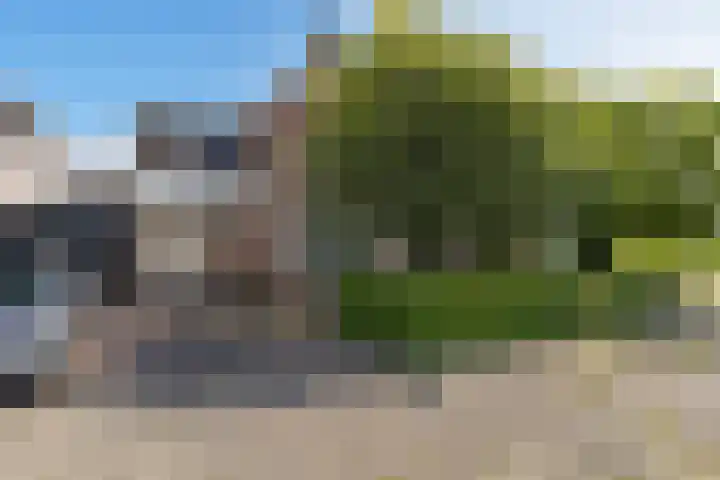 Zilverbeek 37 Zwartsluis thumbnail 14
