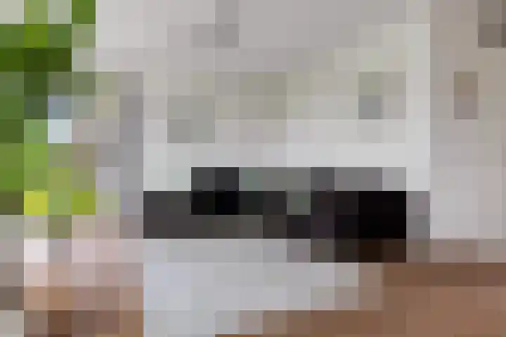 Zilverbeek 37 Zwartsluis thumbnail 16