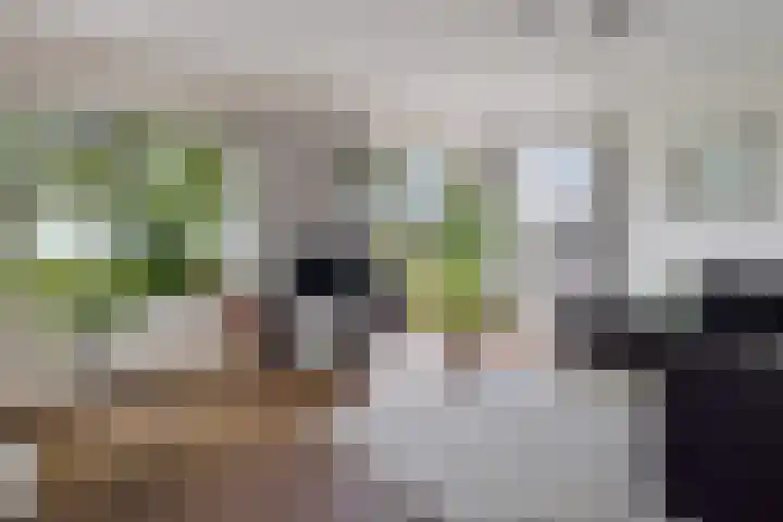 Zilverbeek 37 Zwartsluis thumbnail 17