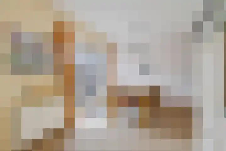 Zilverbeek 37 Zwartsluis thumbnail 21