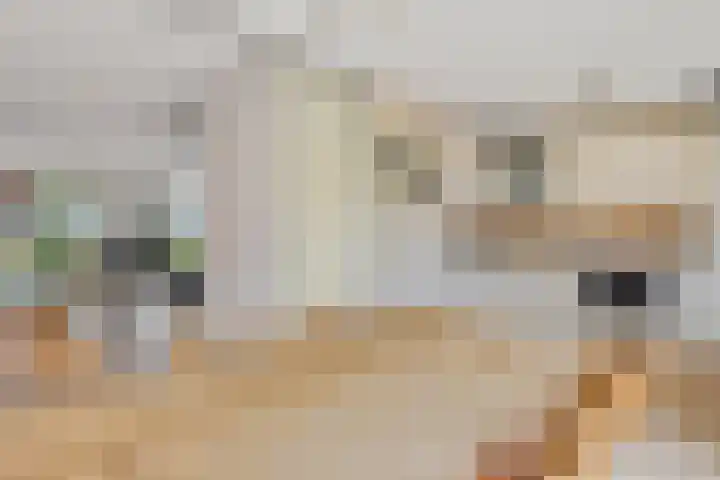 Zilverbeek 37 Zwartsluis thumbnail 22