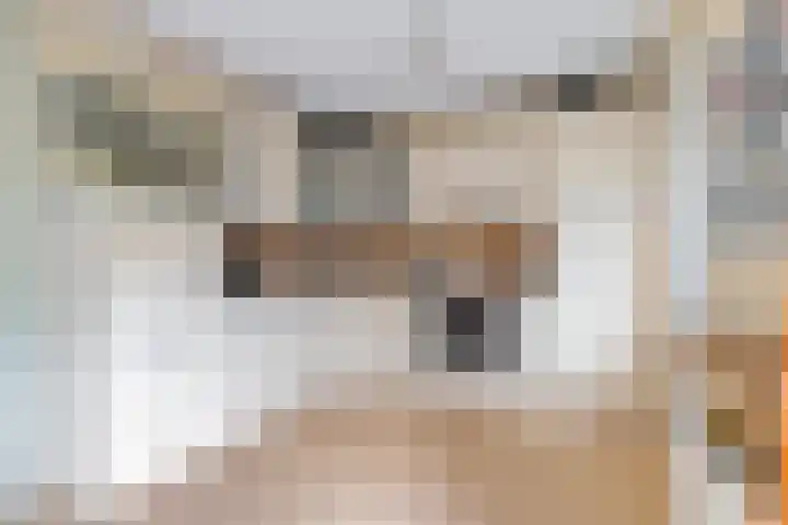 Zilverbeek 37 Zwartsluis thumbnail 23