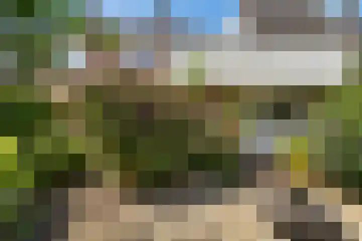 Zilverbeek 37 Zwartsluis thumbnail 24