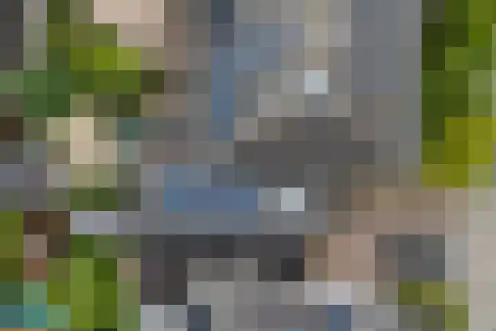 Zilverbeek 37 Zwartsluis thumbnail 25