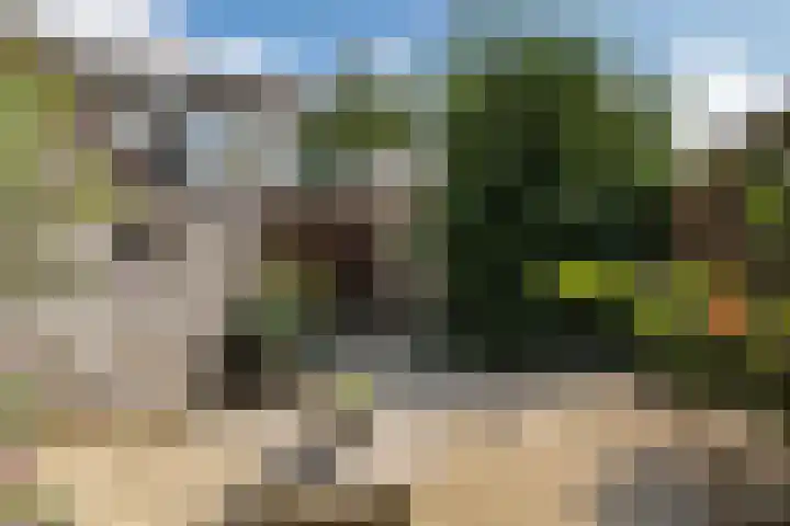 Zilverbeek 37 Zwartsluis thumbnail 26