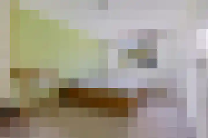 Zilverbeek 37 Zwartsluis thumbnail 29