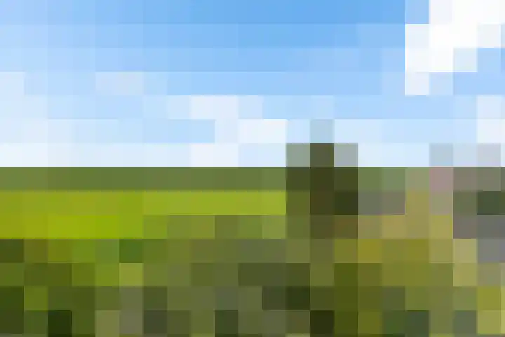 Zilverbeek 37 Zwartsluis thumbnail 30