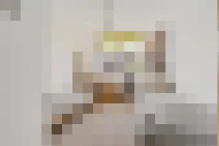 Zilverbeek 37 Zwartsluis thumbnail 31