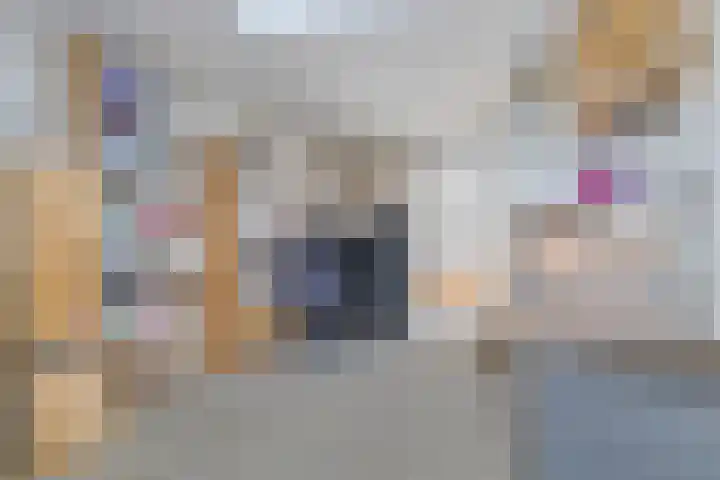 Zilverbeek 37 Zwartsluis thumbnail 35