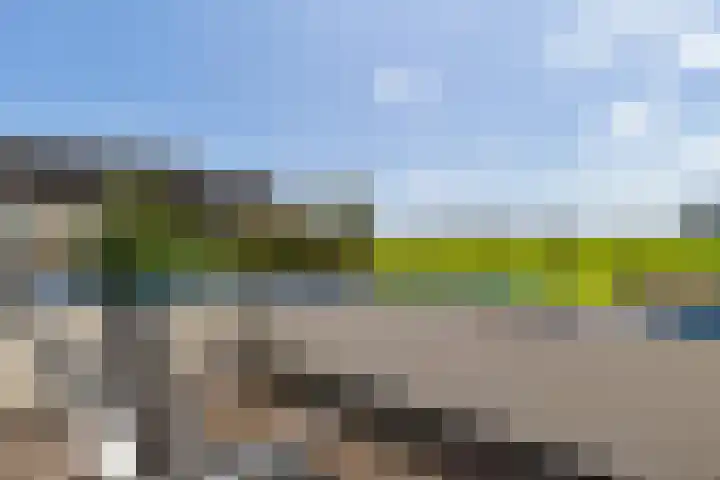Zilverbeek 37 Zwartsluis thumbnail 37