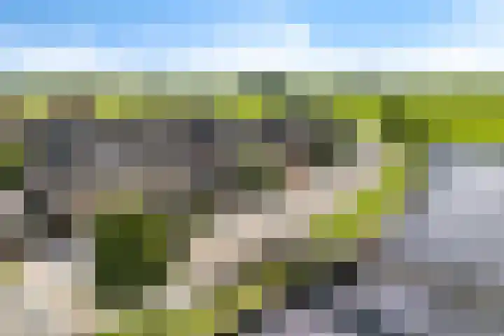 Zilverbeek 37 Zwartsluis thumbnail 42