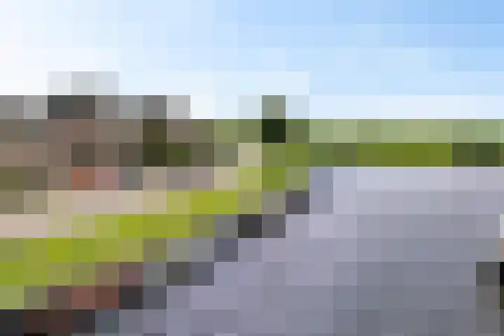 Zilverbeek 37 Zwartsluis thumbnail 7