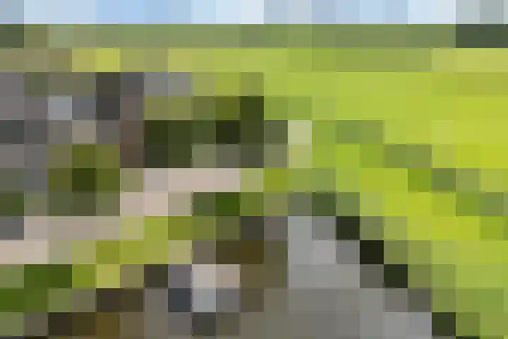 Zilverbeek 37 Zwartsluis thumbnail 8