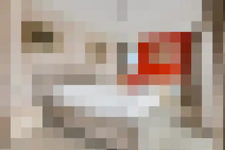 Zilverberg 11 Ede thumbnail 14