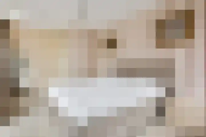 Zilverberg 11 Ede thumbnail 15