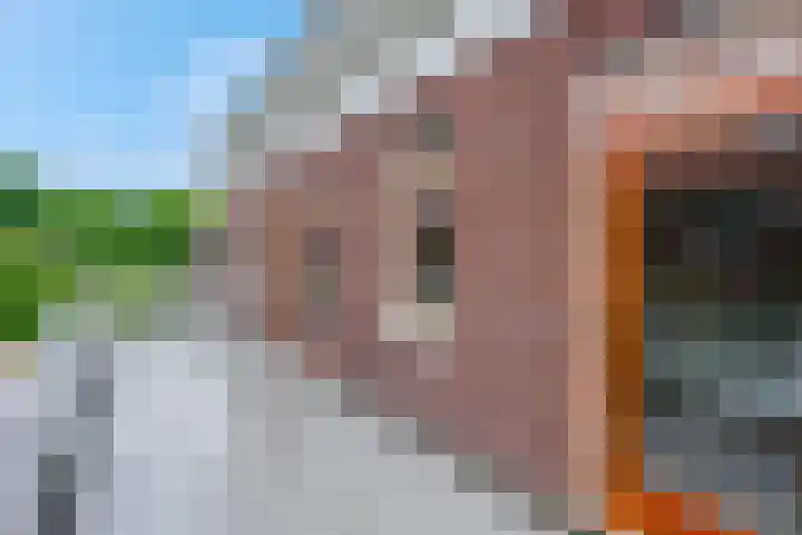 Zilverberg 11 Ede thumbnail 22
