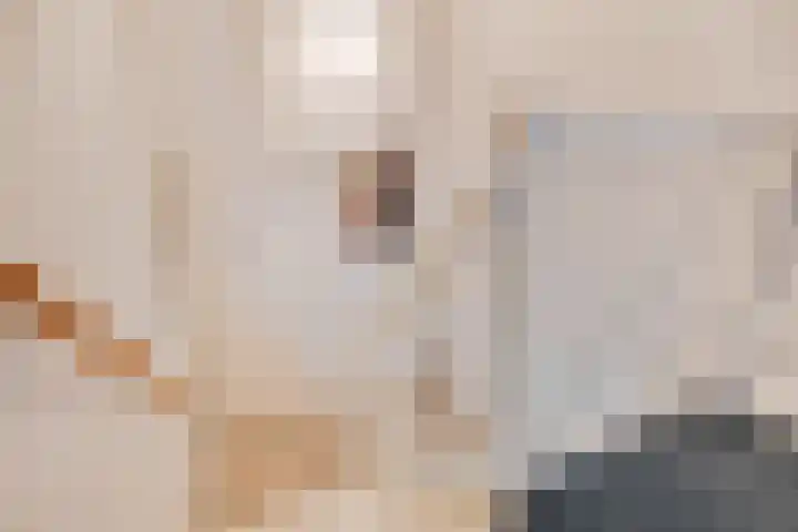 Zilverberg 11 Ede thumbnail 30