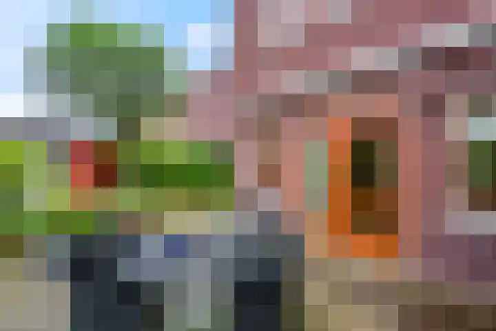 Zilverberg 11 Ede thumbnail 32