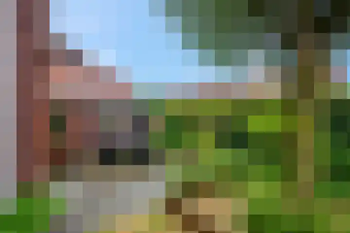 Zilverberg 11 Ede thumbnail 33