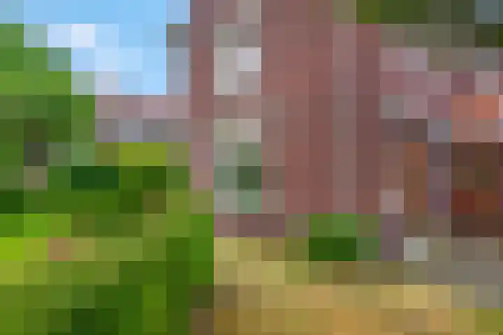 Zilverberg 11 Ede thumbnail 34