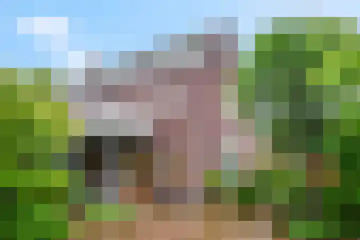 Zilverberg 11 Ede thumbnail 35