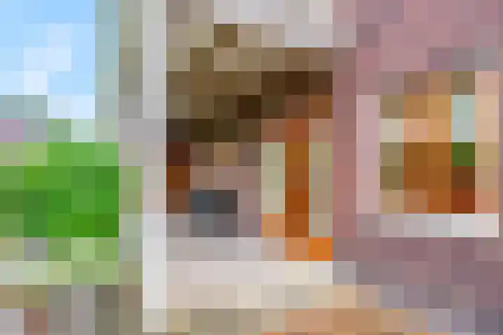 Zilverberg 11 Ede thumbnail 36