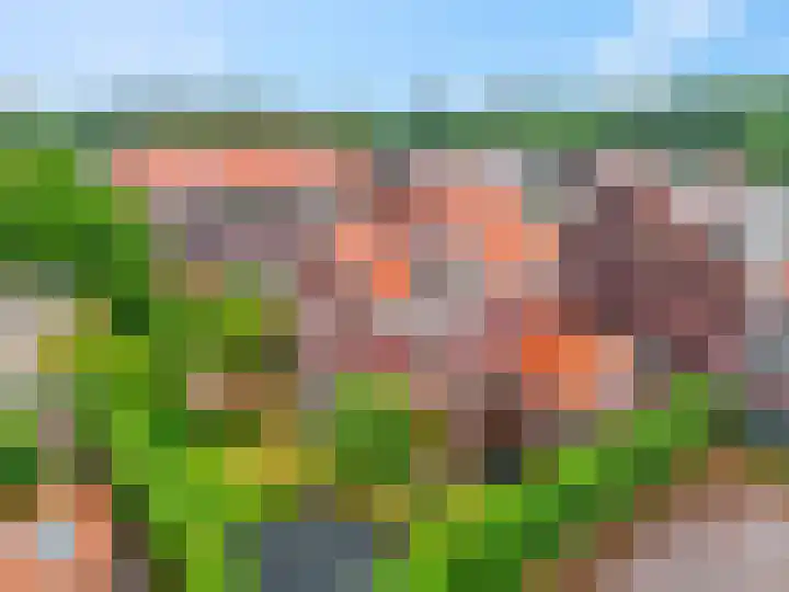 Zilverberg 11 Ede thumbnail 40